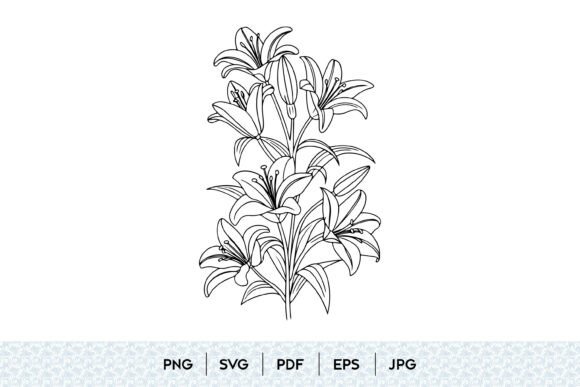 Lily Flower SVG: Graphics and Illustrations Review