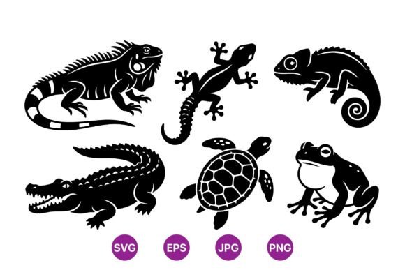 Reptile Silhouette Clipart Pack: Graphics & Illustrations Review